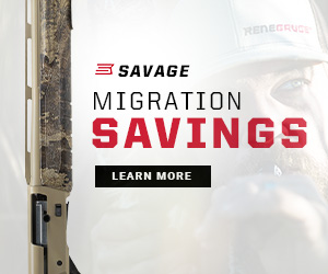 Migration Savings R13481.jpg